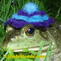 /home//u458753944/public_html/sourcegallery//Frogs/More bullfrogs/P6020099.JPG